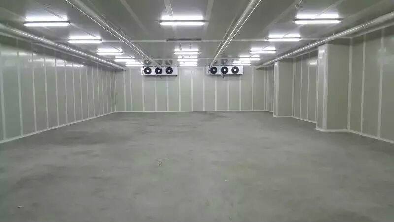 醫(yī)療冷庫工程案例